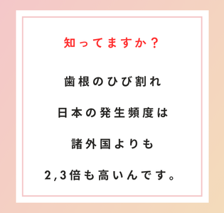 歯の根のひび割れ（垂直性歯根破折)の頻度は日本は諸外国に比べ2~3倍多い
