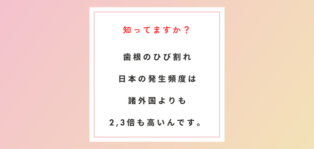 歯の根のひび割れ（垂直性歯根破折)の頻度は日本は諸外国に比べ2~3倍多い!!